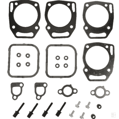 POCHETTE DE JOINTS POUR LES 2 CULASSES(808391) PIECE D'ORIGINE Briggs & Stratton